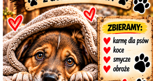❤WIELKIE SERCA MEDYKA DLA MAŁYCH PRZYJACIÓŁ!❤